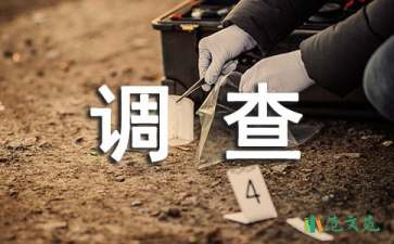 關于調(diào)查報告的作文10篇