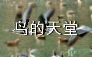 《鳥(niǎo)的天堂》教學(xué)設(shè)計(jì)匯編15篇