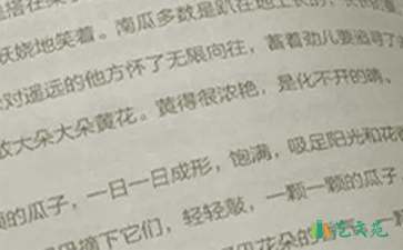 小學(xué)語文測試題