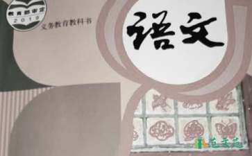 初中語文教學的心得體會范文（通用9篇）