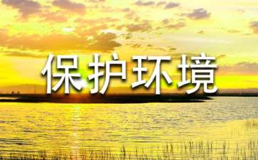 保護(hù)環(huán)境建議書作文600字